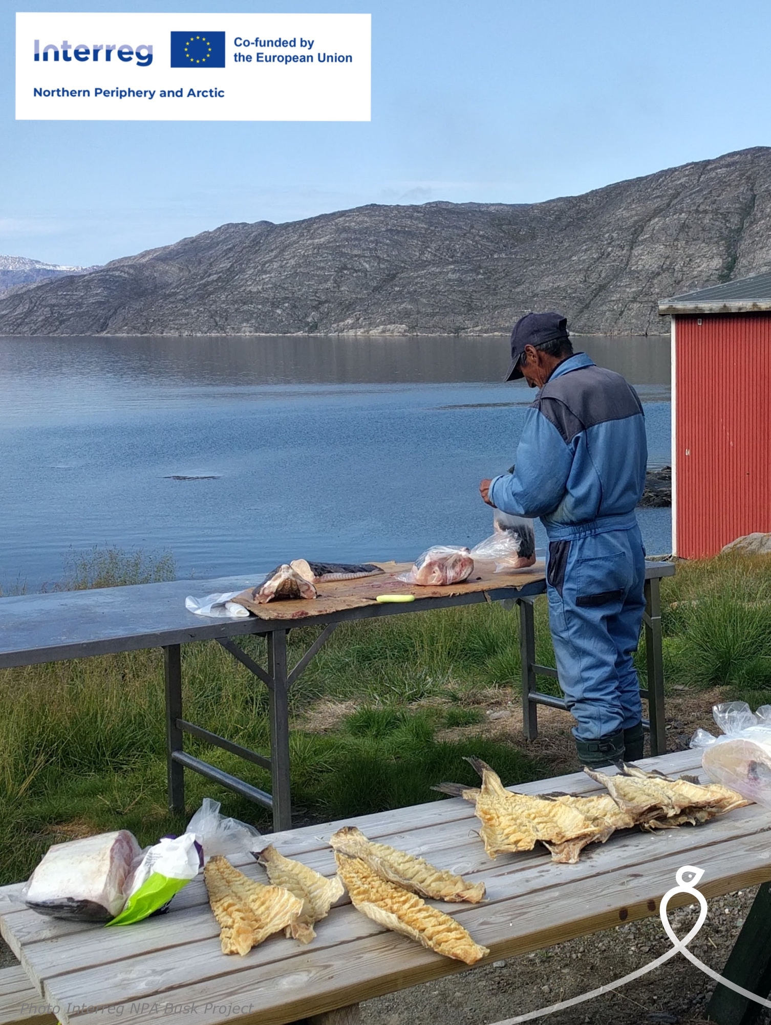 Greenland - BuSK man processing the fish Branded.jpg